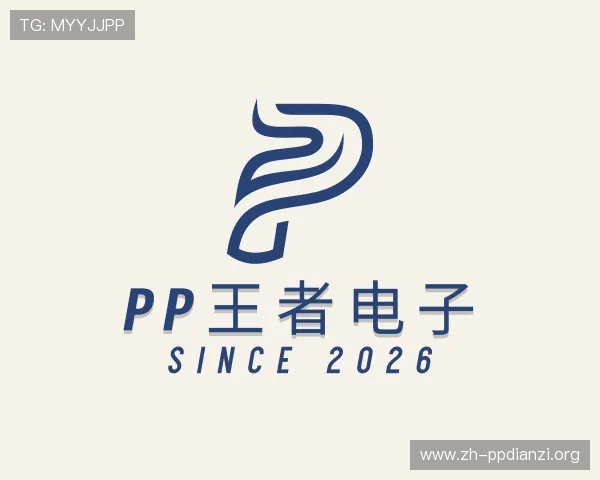 发现pp王者电子